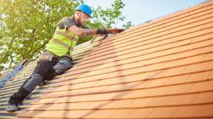 Best Roof Ventilation Installation  in Warren, IL