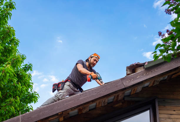 Best Rubber Roofing (EPDM, TPO)  in Warren, IL
