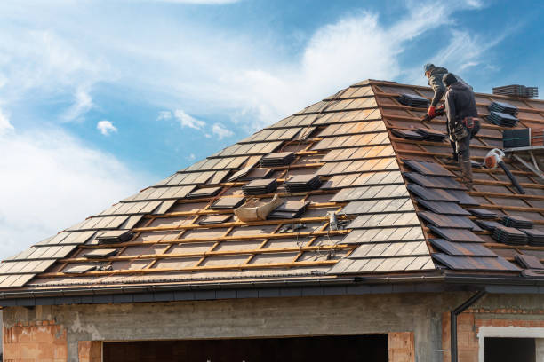 Best Roof Maintenance and Cleaning  in Warren, IL