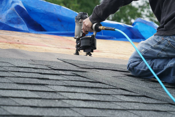 Best Commercial Roofing Services  in Warren, IL